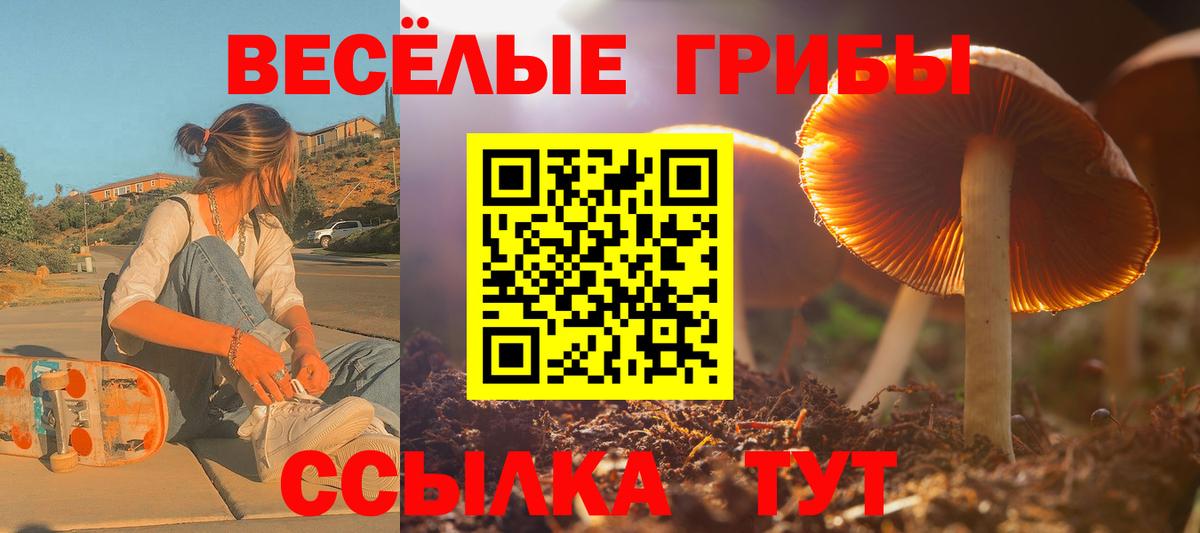 Псилоцибиновые грибы мухоморы  Вход с VPN  Ангарск 