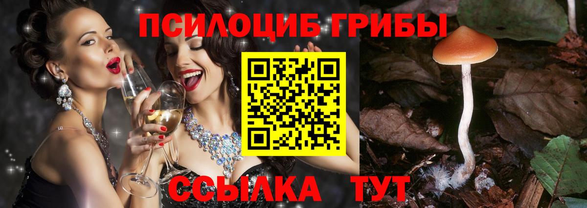 Галлюциногенные грибы Cubensis Ангарск